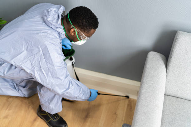 Best Pest Control for Hotels  in Albany, OR